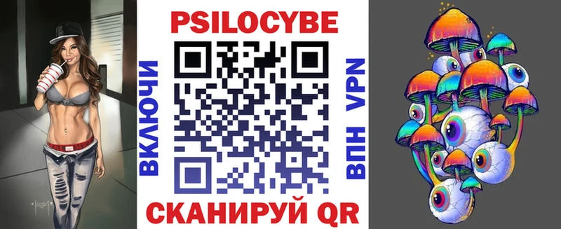 закладка  Оренбург  Галлюциногенные грибы Cubensis 